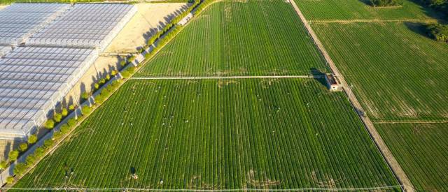 2 广州从化的从玉菜场.jpg